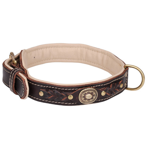 Leather dog collar in professional workmanship - Click Image to Close