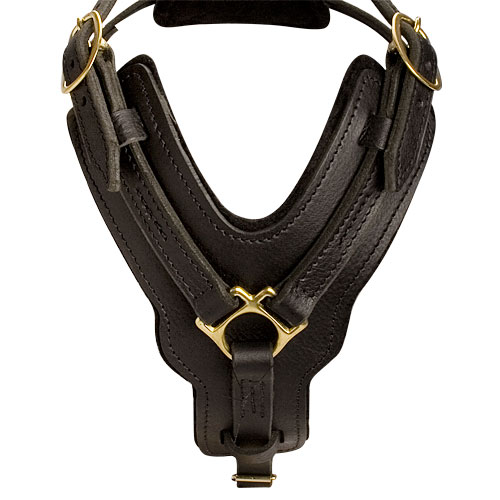 German Shepherd Luxury Handcrafted Padded Leather Harness