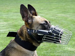 Wire Basket Dog Muzzle for Belgian Malinois