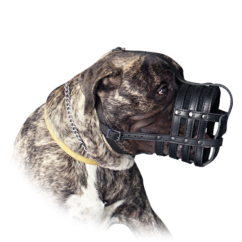 Bullmastiff Everyday Light Weight Ventilation Dog muzzle - Click Image to Close