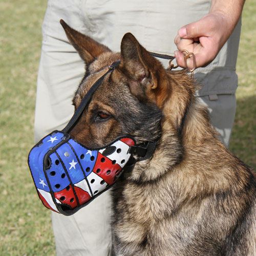 German Shepherd Leather Painted Muzzle