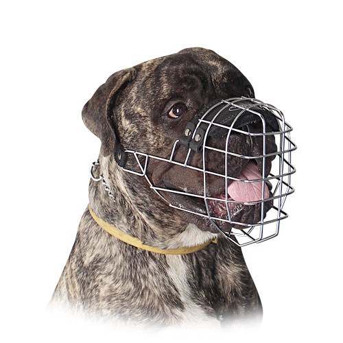 Bestseller Bullmastiff Bester Draht Maulkorb Hund - zum Schließen ins Bild klicken