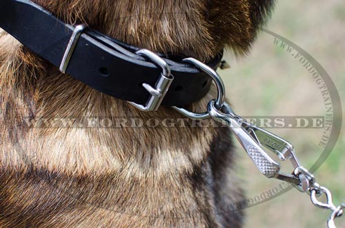 Hochwertiges Halsband mit Spikes für Belgischen Malinois