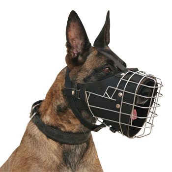 Fully padded hard dogs working wire muzzle for Belgian malinois