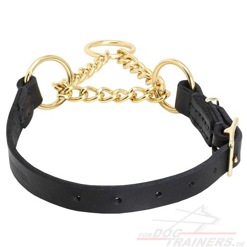 Martingale leather dog collar with brass parts - Click Image to Close