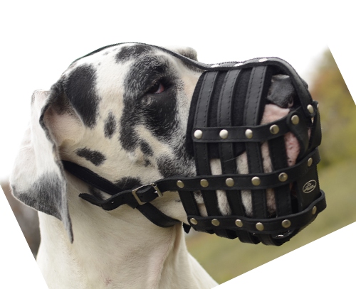 Bestseller Maulkorb Leder für Dogge❺