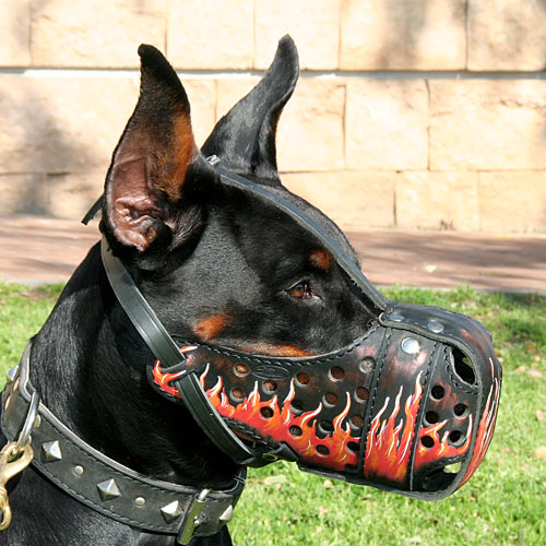Dog Muzzle of Leather for Doberman with Design Flame - Click Image to Close