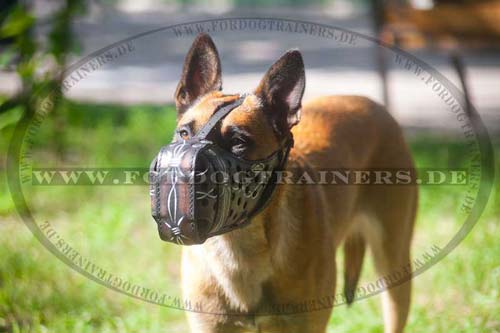 Maulkorb Leder für Malinois Stoßarbeit mit Stacheldraht Design - zum Schließen ins Bild klicken