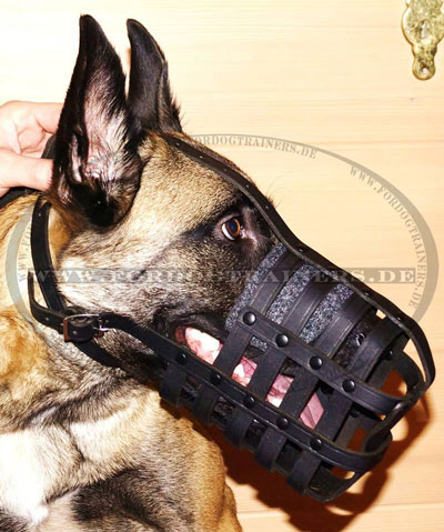 Bestseller Hundemaulkorb aus Leder für Malinois, Super Leicht