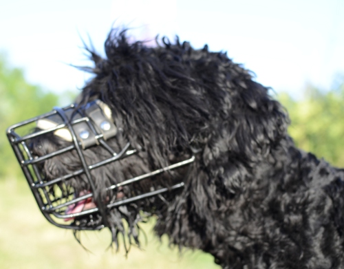 Bestseller Drahtmaulkorb für Schwarzen Terrier | Winter Maulkorb - zum Schließen ins Bild klicken