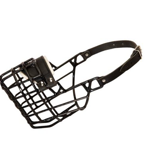 Wire Muzzle for Miniature Schnauzer | Cage Muzzle Winter 2015