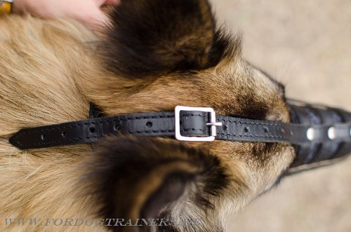 Dog Muzzle of Leather for Tervuren, with Royal Design