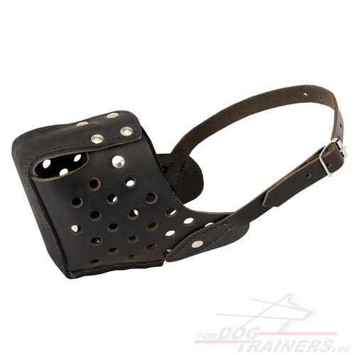 Training Muzzle for Training, Work, Police Service buy