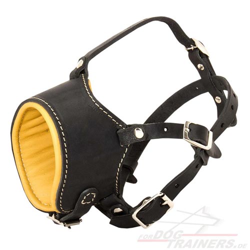 Leather Dog Muzzle made of with Nappa Padding