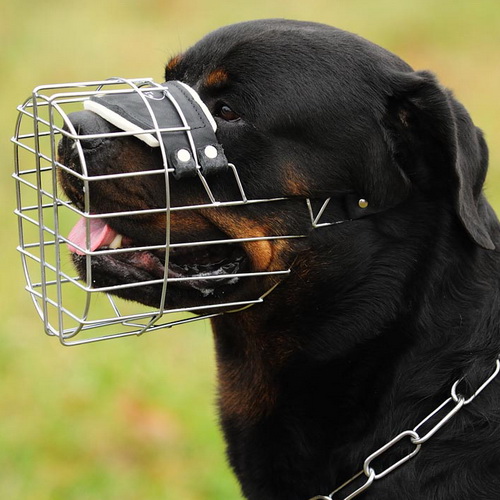 Maulkorb kaufen Sie für Rottweiler und Hunde Draht ❺