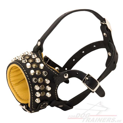 Designer Dog Muzzle for large Dogs with Bolts and Studs