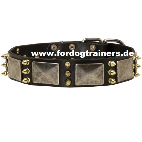 Edles Nieten Halsband mit schönen Schildern und Spikes kaufen