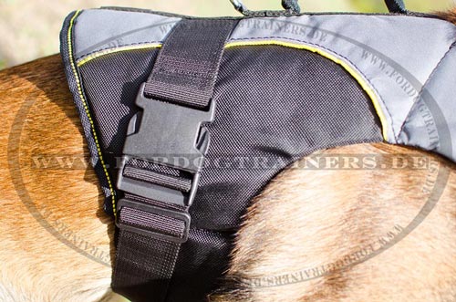 Comfortable Malinois Nylon Harness for Rehabilitation