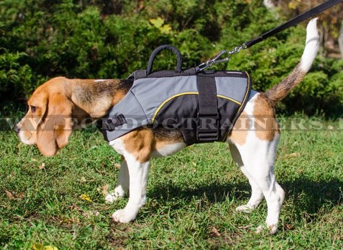 Beagle Nylongeschirr-Weste mit gutem Griff