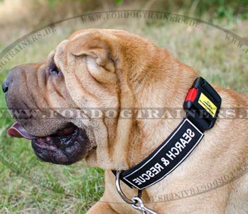 Allwetter Nylon Halsband für Shar Pei | Halsband mit Logos