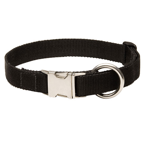 Hundehalsband Nylon mit hochwertigen Metallteilen ❺❺❺