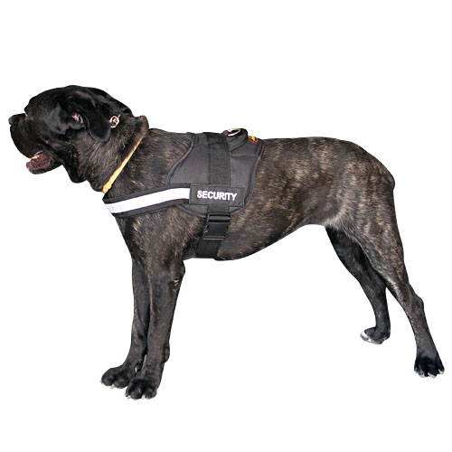 Reflektierendes Hundegeschirr aus nylon, Cane Corso