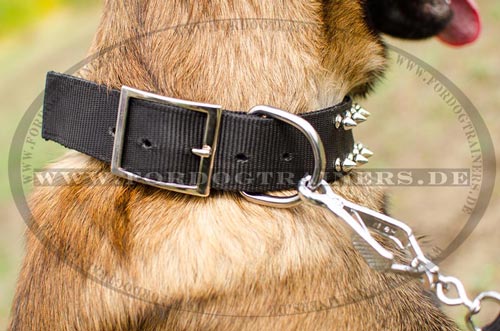 Hochwertiges Hundehalsband aus Nylon für Malinois schwarz