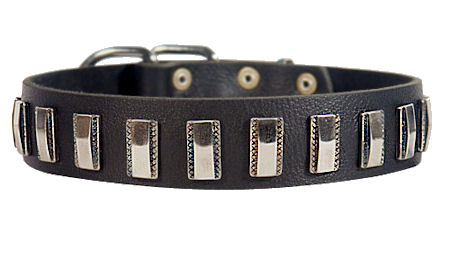 Hunde Halsband Leder Exklusiv