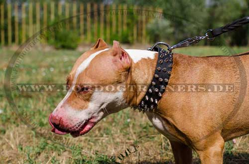 Pitbull Hundehalsband aus Leder mit Spikes, 3 Reihen