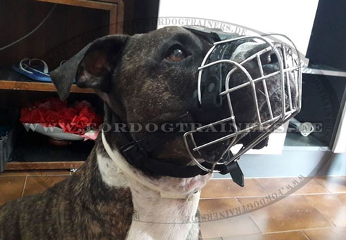 Wire Basket Dog Muzzle for Pitbull