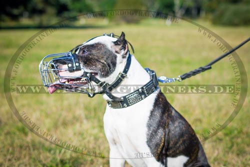 Wire Basket Dog Muzzle for Pitbull