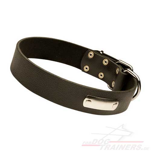 American Pitbull Dog Collar of Leather - Click Image to Close