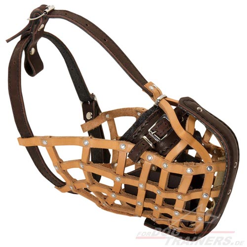 Professional Dog Muzzle combined Leather with Steel Rail