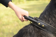 Riesenschnauzer Halsband mit Griff