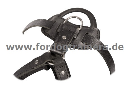 Fixed Laika Leather Harness with Handle buy