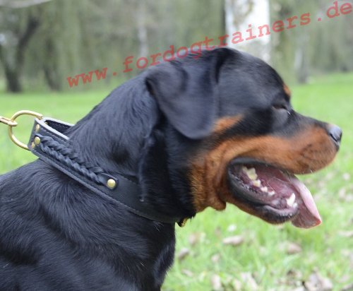 Geflochtenes Hunde-Halsband Leder für Rottweiler, Handarbeit!