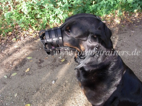 Bestseller! Rottweiler Leichter Hundemaulkorb aus Leder