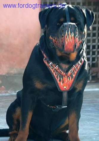 Painted Ardent Designed Leather Rottweiler Muzzle