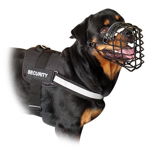 Rottweiler Edler Hundemaulkorb aus Leder mit Spikes