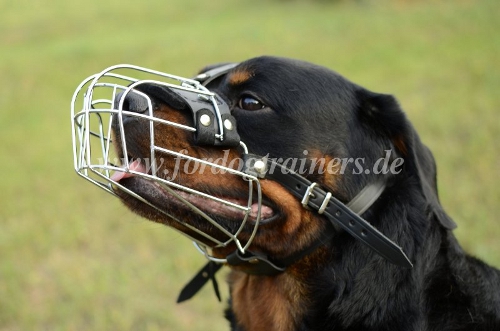 Sicherer Drahtmaulkorb für Rottweiler Hund kaufen