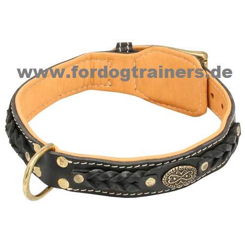 Braided Padded Leather Dog Collar Brown Online buy