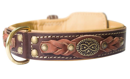 Luxury leather dog collar, Brown