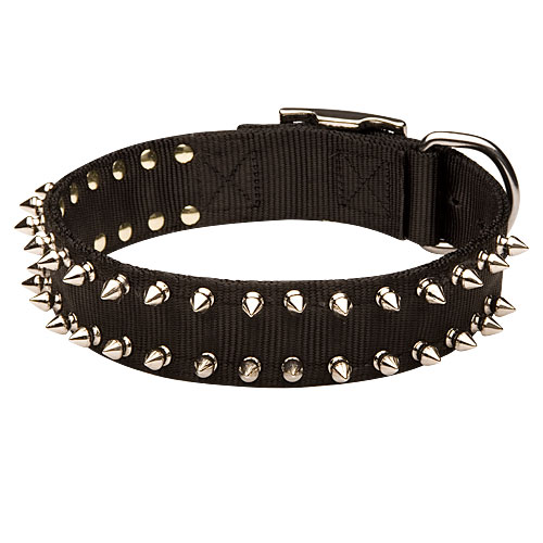 Schwarzes Hundehalsband aus Nylon mit Stahlspikes kaufen