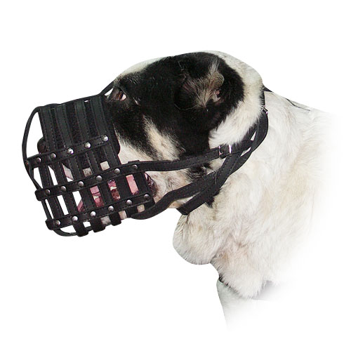 Light Large Everyday Dog muzzle for Sarmatian Mastiff, leather