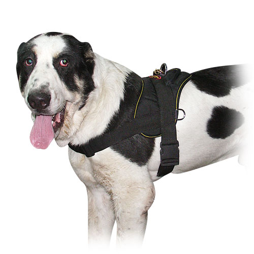 k9-hundegeschirr, large dog harness