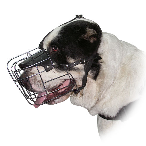 Drahtmaulkorb, wire basket muzzle for Mastiff