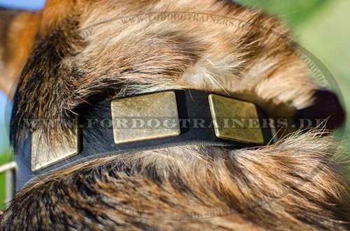 Schäferhund Hundehalsband aus Leder mit vintage Schildern