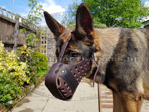Leather Dog Muzzle "Dondi plus" for German Shepherd - Click Image to Close