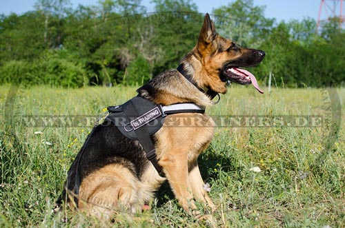 Reflective dog harness of nylon for German Shepherd - Click Image to Close