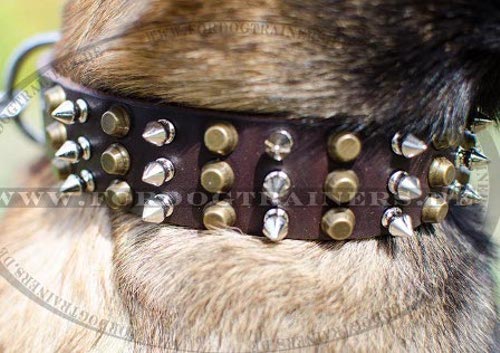 Nieten-Design Halsband für Malinois